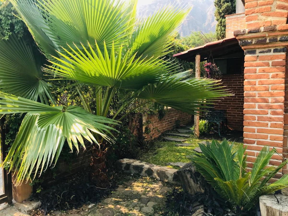 Posada Teopanco تيبوزتلان المظهر الخارجي الصورة
